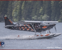 TSR Watermark - 0268